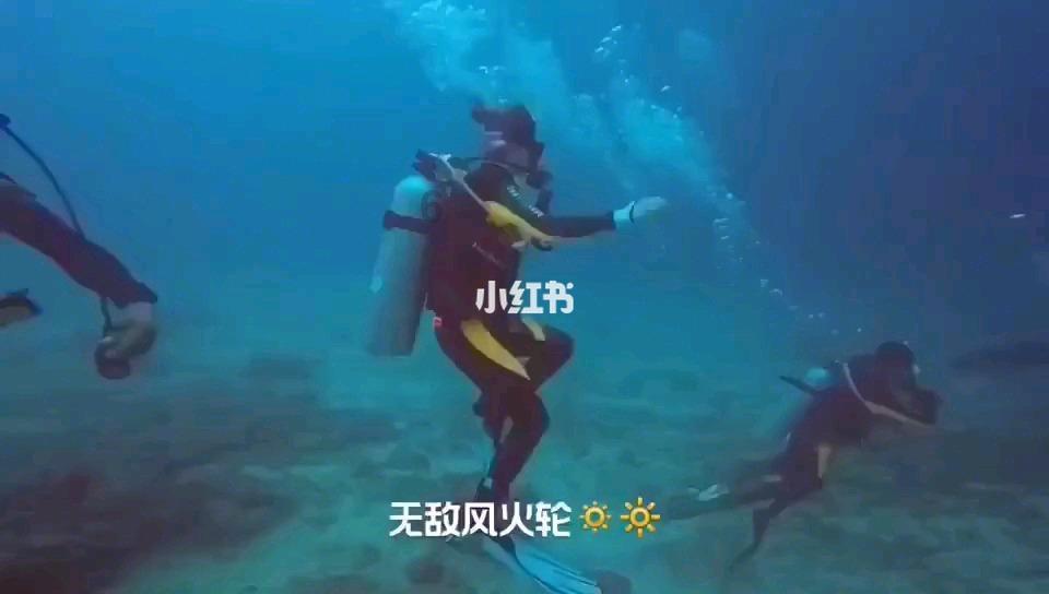 hahabet梦想