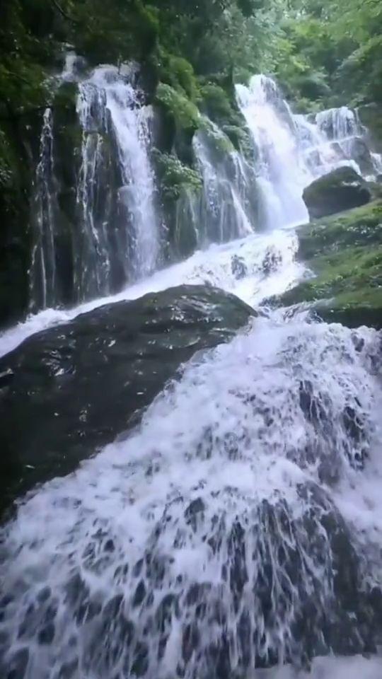 尽在一个男生总是给我送花,我不喜欢,怎么委婉拒绝不伤自尊?,探秘58问答交流平台